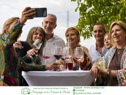 Festival Mar de Tethys 2026 - Bodega Vetas